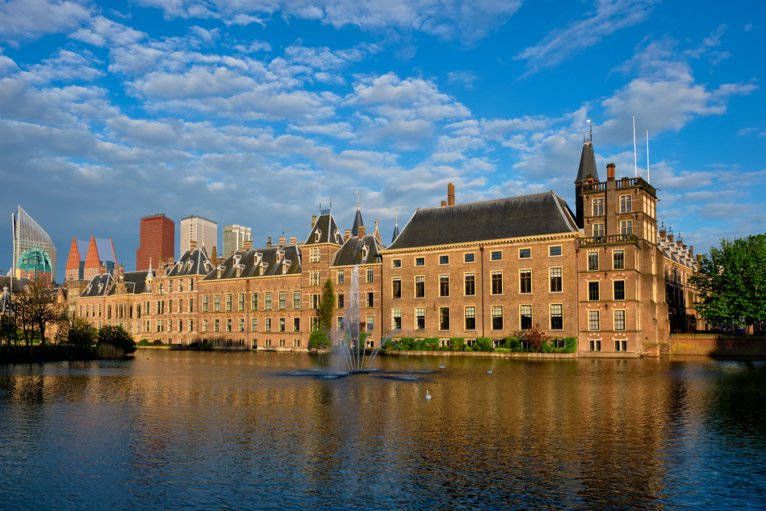 hague humanity hub