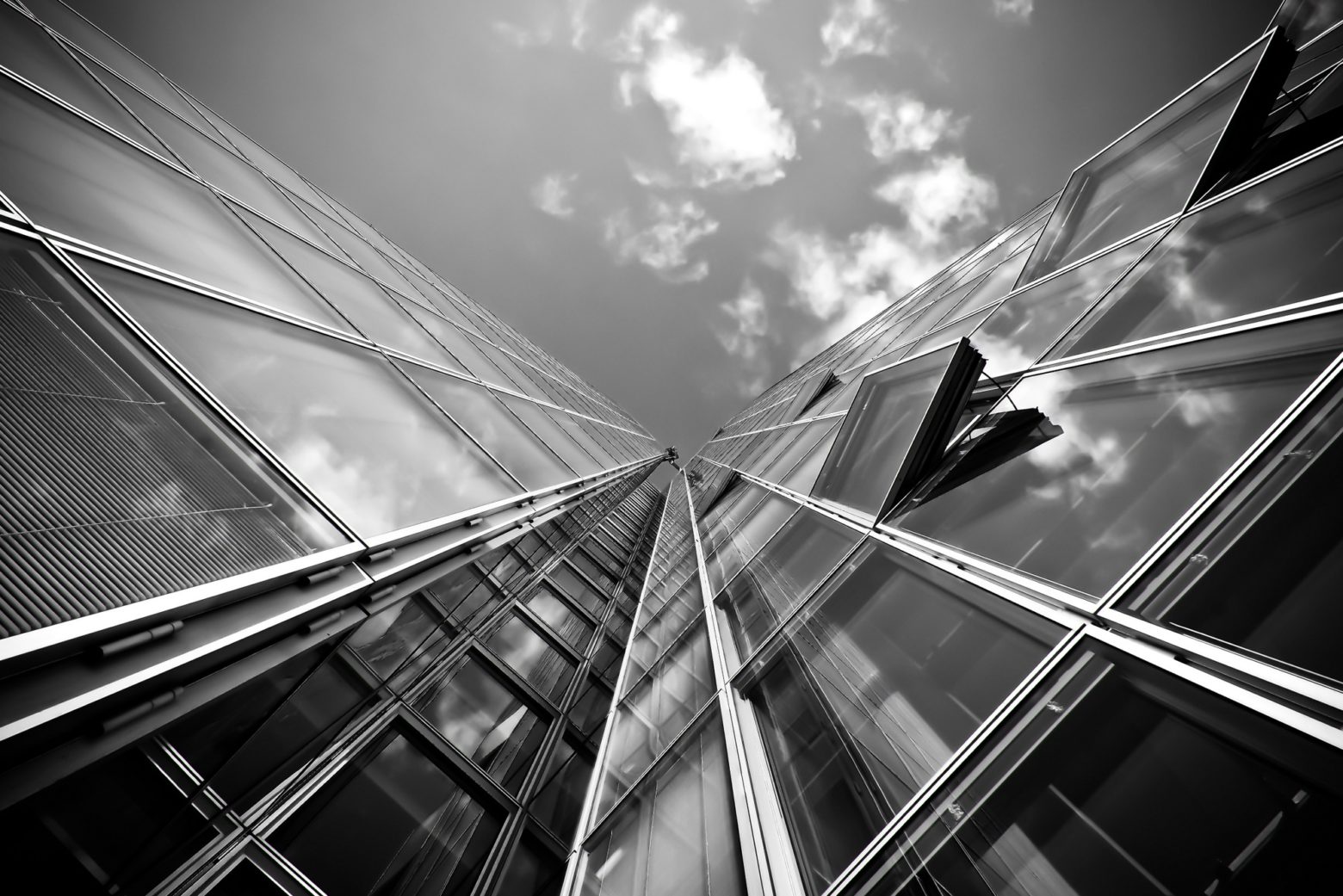 Viastore partners