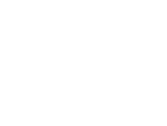 First Line Software